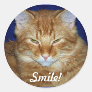 Orange Tabby Cat Smile Sticker