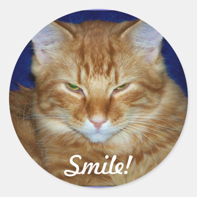 Orange Tabby Cat Smile Sticker (Vorderseite)