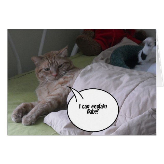 Orange Tabby Cat Spaß (Vorderseite (Horizontal))