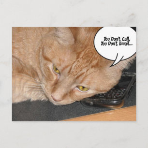 Orange Tabby Cat Spaß Postkarte