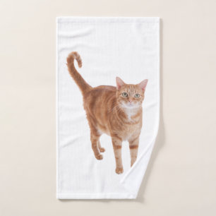 Orange Tabby Cat Stehend Handtuch