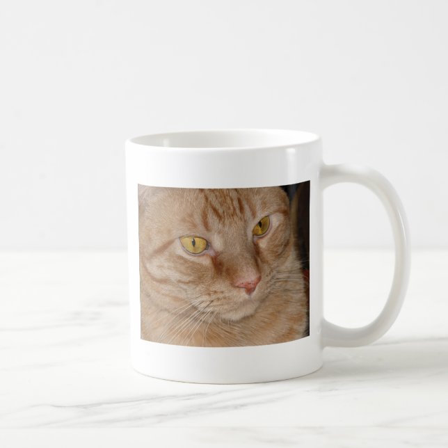 Orange Tabby Cat Tasse (Rechts)
