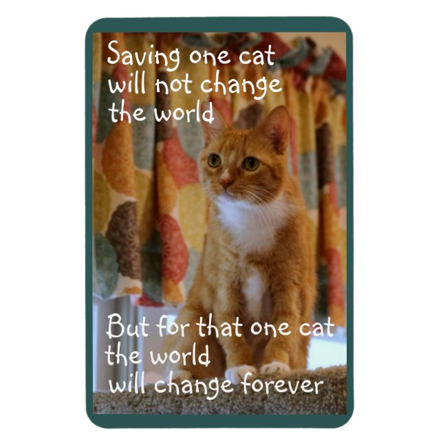 Orange Tabby Cat wünscht Adoptiert zu werden Magnet (Vertikal)