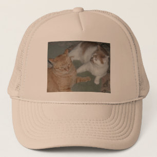 Orange Tabby Cats Truckerkappe