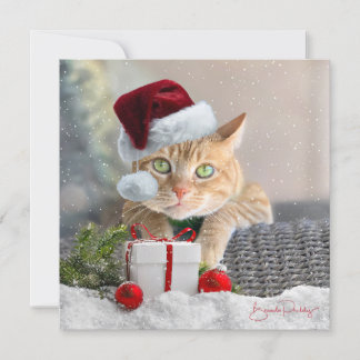 Orange Tabby FLAT 5,25-Zoll Weihnachtskarte Feiertagskarte