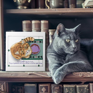 Orange Tabby Food Bowl Küche Fliese