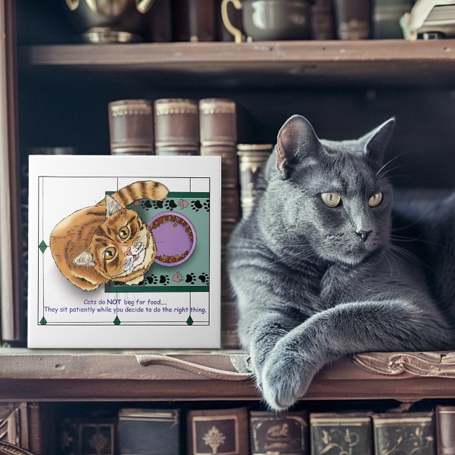 Orange Tabby Food Bowl Küche Fliese (Von Creator hochgeladen)