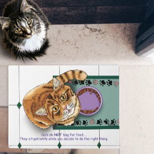 Orange Tabby Food Bowl Küche Fußmatte