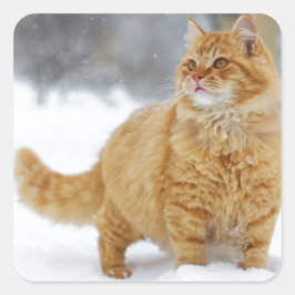 Orange Tabby im Schnee Quadratischer Aufkleber