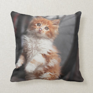 Orange Tabby-Kätzchen Kissen