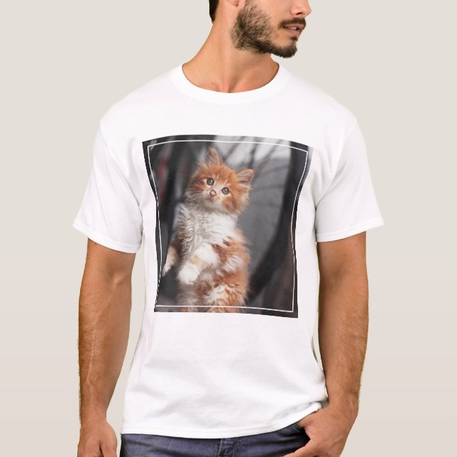 Orange Tabby-Kätzchen T-Shirt (Vorderseite)