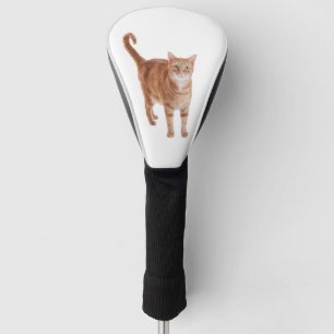 Orange Tabby-Katze Golf Headcover