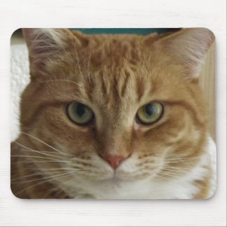 Orange Tabby-Katze Mousepad