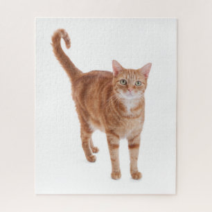 Orange Tabby-Katze Puzzle