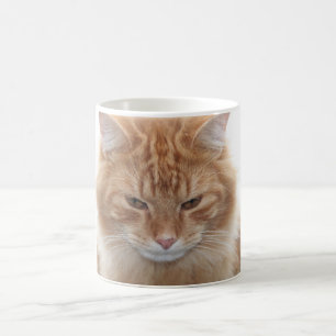 Orange Tabby-Katze Tasse