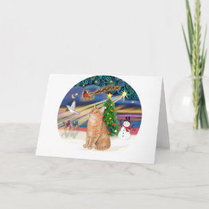 Orange Tabby Katze - Weihnachtszauber Feiertagskarte