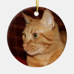 Orange Tabby-Katzen-Gesichts-Profil Keramikornament