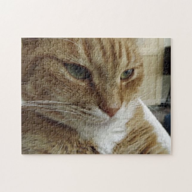 Orange Tabby-Katzen-Puzzle Puzzle (Horizontal)