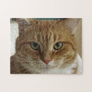 Orange Tabby-Katzen-Puzzle Puzzle