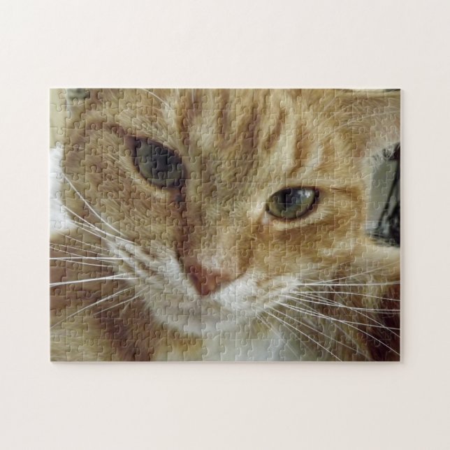 Orange Tabby-Katzen-Puzzle Puzzle (Horizontal)