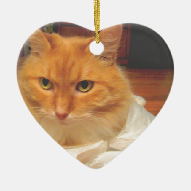 Orange Tabby Keramikornament (Vorne)