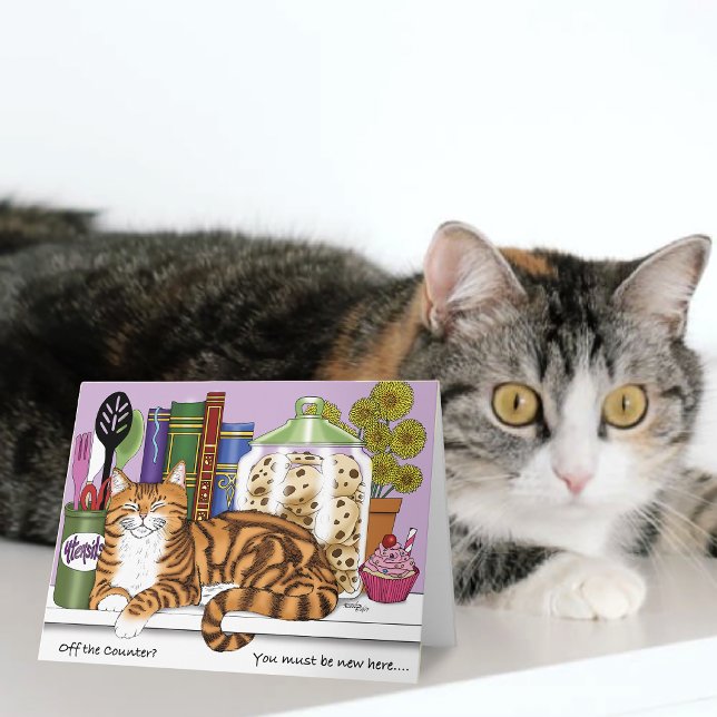 Orange Tabby Kitchen Counter Top Karte (Von Creator hochgeladen)