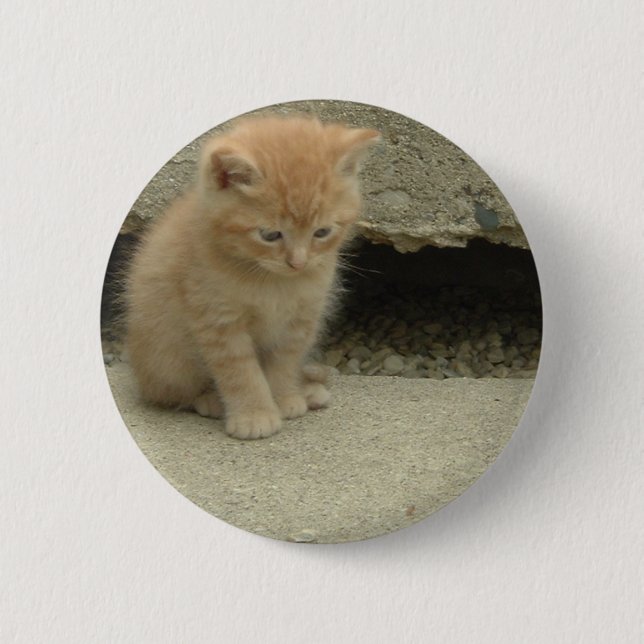 Orange Tabby Kitten Button (Vorderseite)