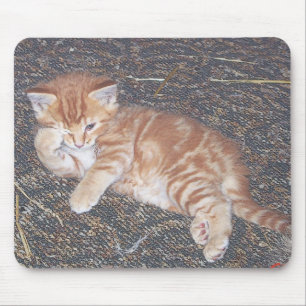 Orange Tabby Kitten Mousepad