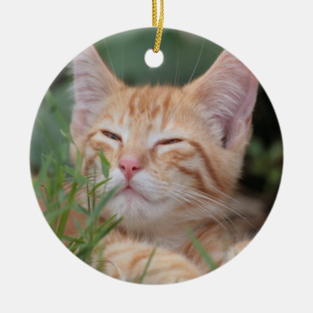 Orange Tabby Kitten Ornament (Vorne)