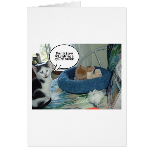 Orange Tabby Kitty Cat (Vorne)