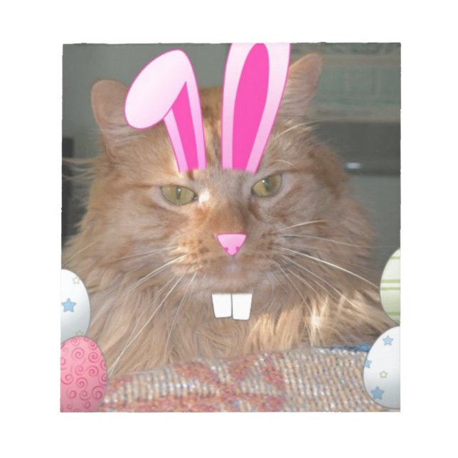 Orange Tabby Kitty Cat Notizblock (Vorderseite)
