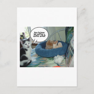 Orange Tabby Kitty Cat Postkarte