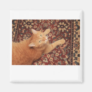 Orange Tabby Magnet