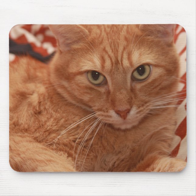 Orange Tabby Mousepad (Vorne)