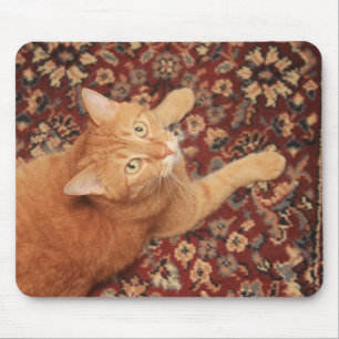 Orange Tabby Mousepad