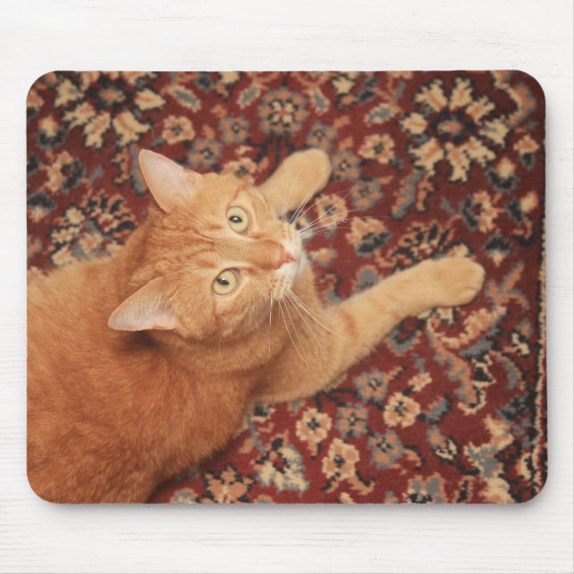 Orange Tabby Mousepad (Vorne)