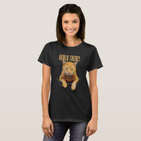 Orange Tabby pinkelt aus einer Tasche