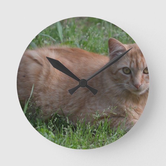 Orange Tabby Runde Wanduhr (Vorderseite)