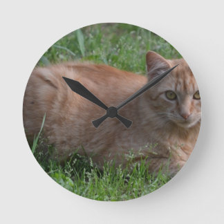 Orange Tabby Runde Wanduhr