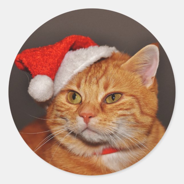 Orange Tabby Santa Cat Umschlag Aufklebers Sticker (Vorderseite)