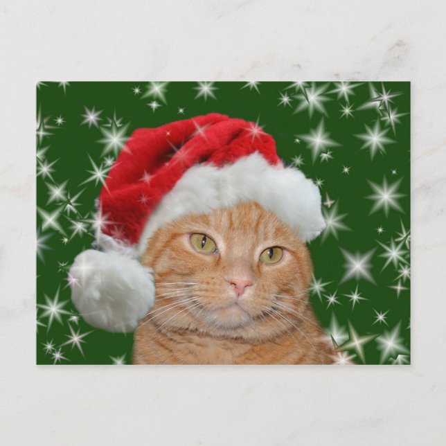 Orange Tabby Santa Feiertagspostkarte (Vorderseite)