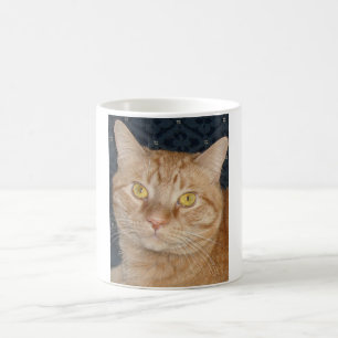 Orange Tabby Tasse