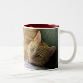 Orange Tabby-Tasse mit Vers Zweifarbige Tasse