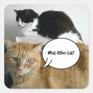 Orange Tabby und Schwarz-Weiß Katzen Quadratischer Aufkleber