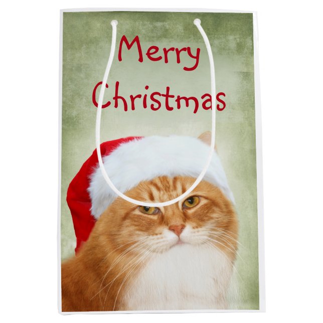 Orange Tabby Weihnachtsmann Mittlere Geschenktüte (Vorderseite)