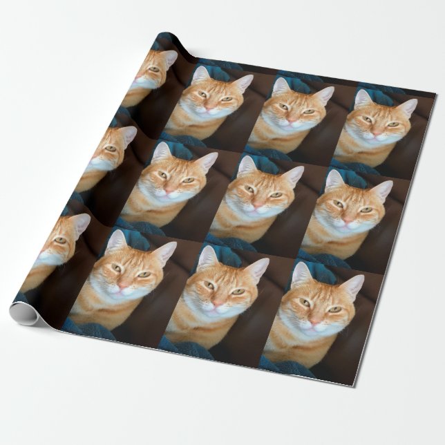 Orange Tabbykatze Geschenkpapier (Ungerollt)