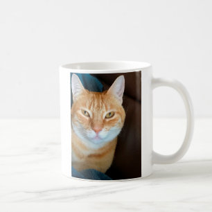 Orange Tabbykatze Kaffeetasse