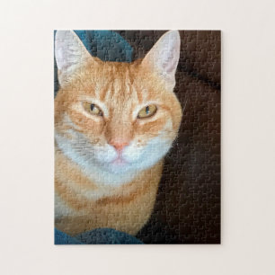 Orange Tabbykatze Puzzle