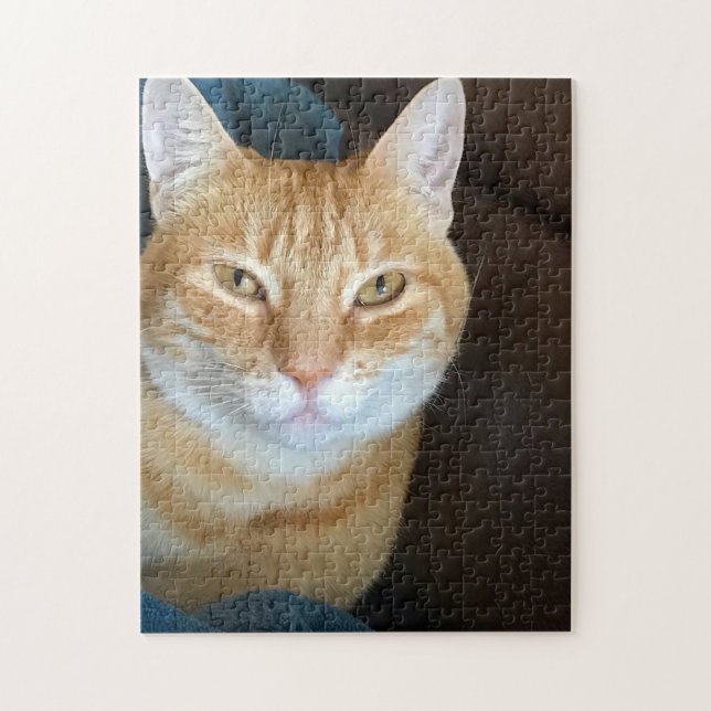 Orange Tabbykatze Puzzle (Vertikal)