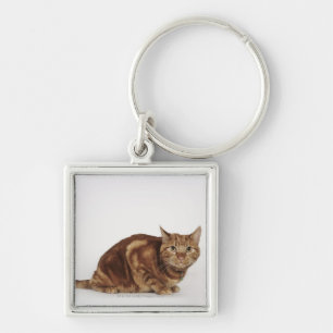 Orange Tabbykatze Schlüsselanhänger